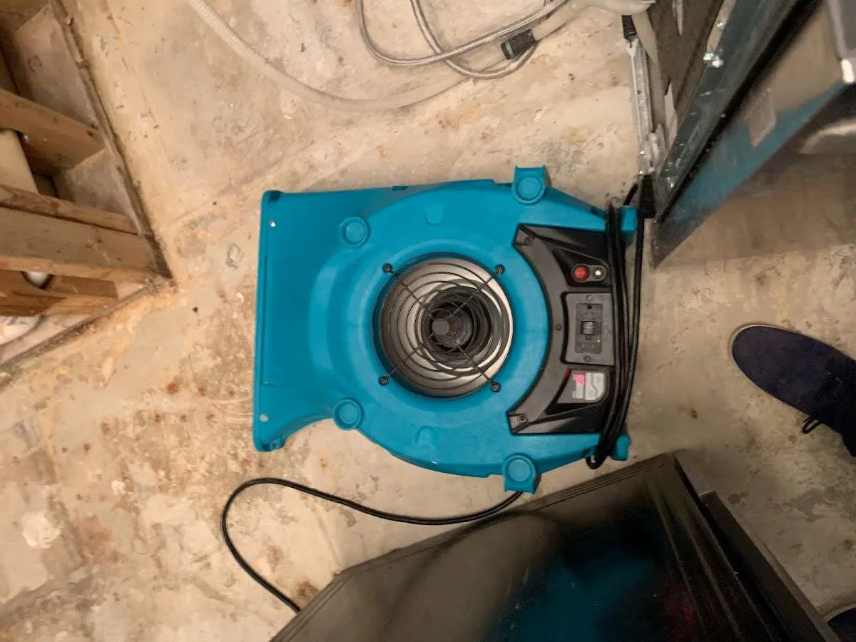 Air mover drying equipment for Mold Remediation & Removal in Temple City